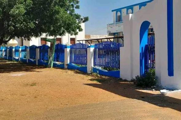 هذا ( التحشيد) يبدو مدروساً من الجهات التي تحرّك مليشيات التمرد من خلف ستار