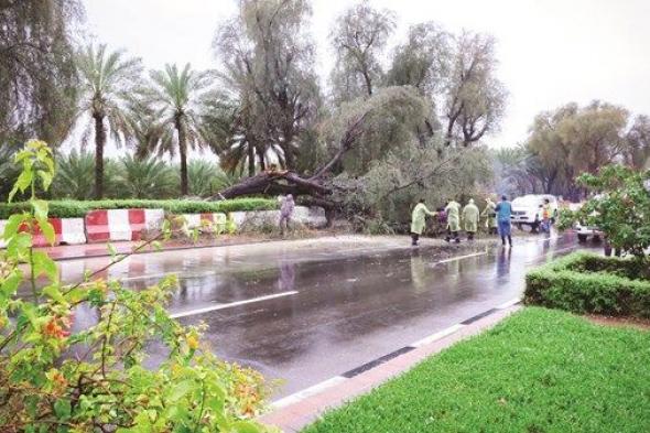 منظومة متكاملة للاستجابة للحالة الجوية في العين