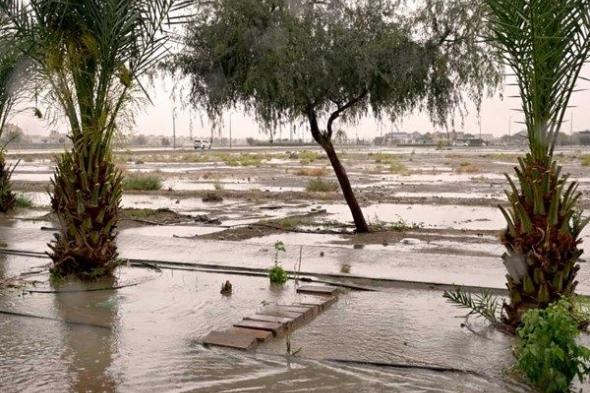 أمطار قياسية بالدولة.. و47.9 ملم أعلى كمية في الطويين بالفجيرة