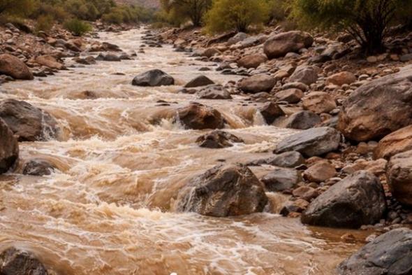 "الطوارئ والأزمات" تحذر من مخاطر الأودية والمناطق المغمورة بالمياه