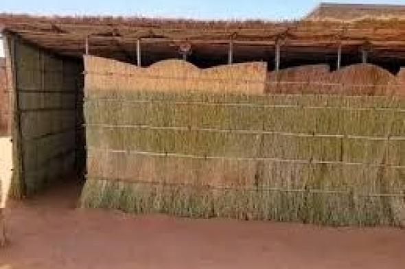 شاهد بالفيديو.. رمى عليهم عبوة ناسفة وهرب.. جنود بالدعم السريع يضبطون مرتزق من جنوب السودان في وضع مخل مع سيدة داخل “راكوبة” بمدينة الفولة