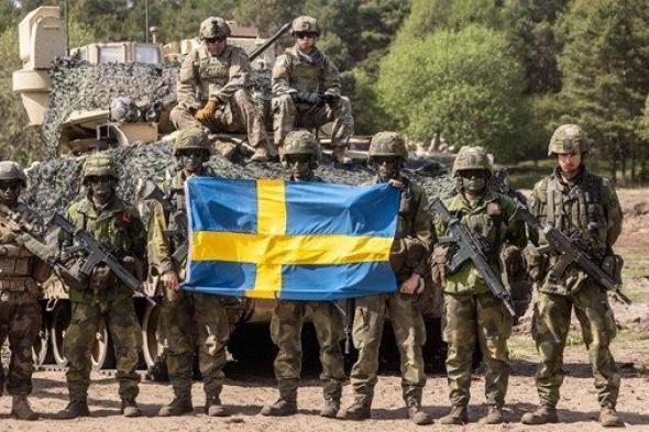 السويد تستثمر مئات الملايين في أنظمة مضادة للمسيّرات