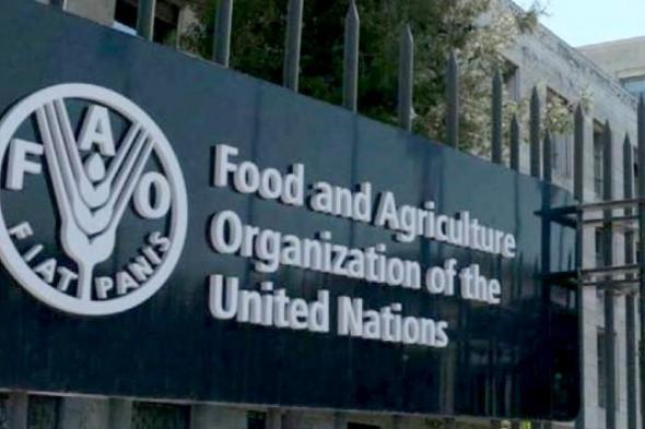 ارتفاع أسعار الغذاء العالمية في بسبب الحرب على إيران