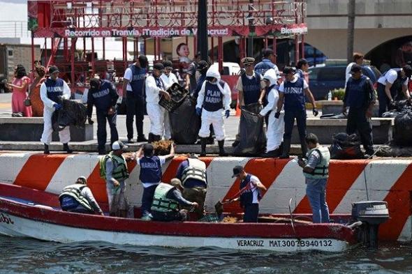 جمع 889 طناً من الملوثات بعد تسرب نفطي في خليج المكسيك
