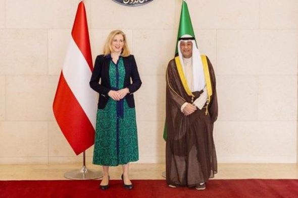 البديوي يبحث مع وزيرة خارجية النمسا التطورات في المنطقة