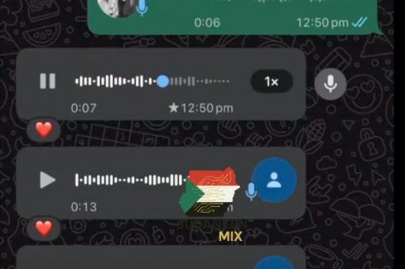 شاهد.. فتاة سودانية تدمي قلوب المتابعين بشرها تسجيلات صوتية مؤثرة وحزينة لوالدها البعيد عنها قبل أيام من رحيله