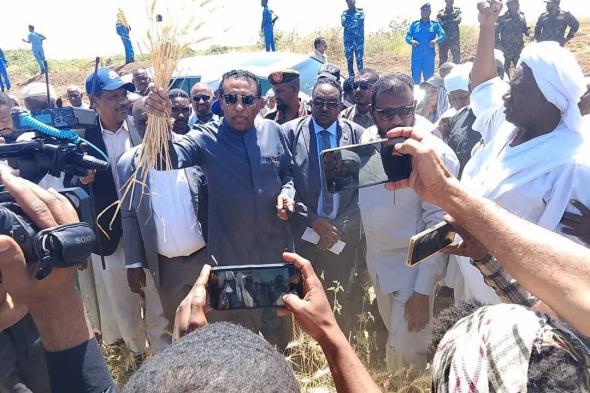 رئيس الوزراء يدشن حصاد القمح بمشروع الجزيرة