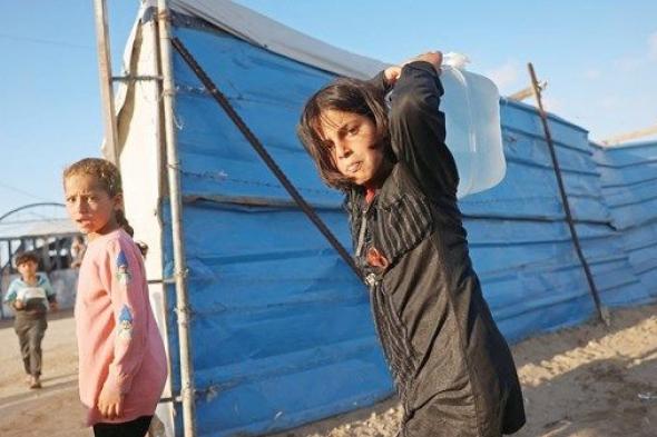 مسؤولة في «الإحصاء الفلسطيني» لـ «الاتحاد»: أطفال غزة يواجهون انهياراً كاملاً في مقومات النمو