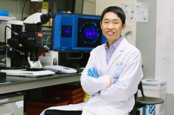 أبحاث الخلايا الجذعية في كاوست تساهم في تعزيز فهم مراحل النمو المبكر للإنسان