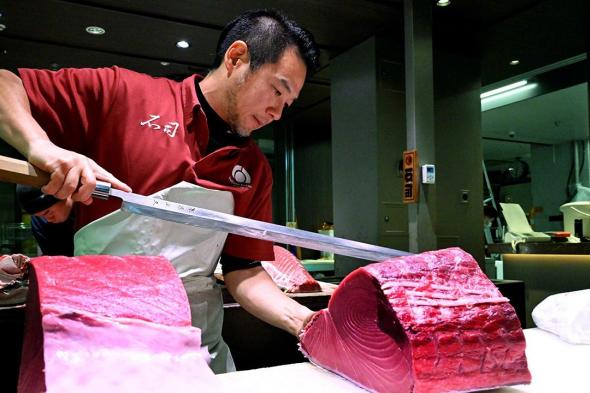 اليابان | سوق تويوسو في طوكيو: قلب العالم النابض بتجارة التونة الفاخرة