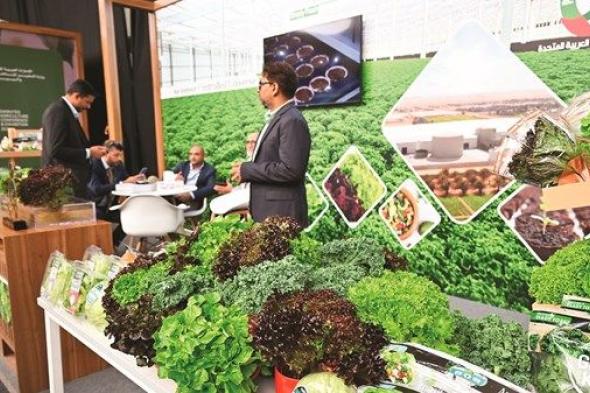 وكيل «التغير المناخي والبيئة» لـ«الاتحاد»: «المؤتمر والمعرض الزراعي» منصة للتحوّل نحو الزراعة الصناعية