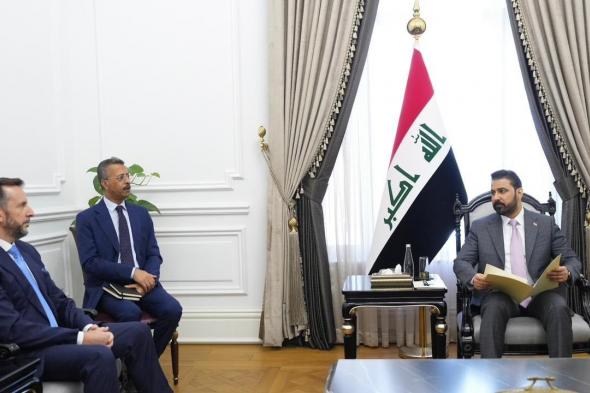 الزيدي يبحث مع السفيرين الإيطالي والألماني تعزيز العلاقات الثنائية وتطورات الأوضاع في المنطقة