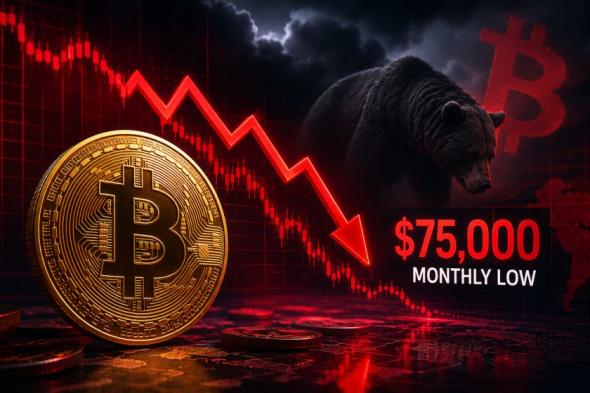 خمس أسباب وراء هبوط سعر البيتكوين إلى 75 ألف دولار… وهل تزداد الخسائر؟