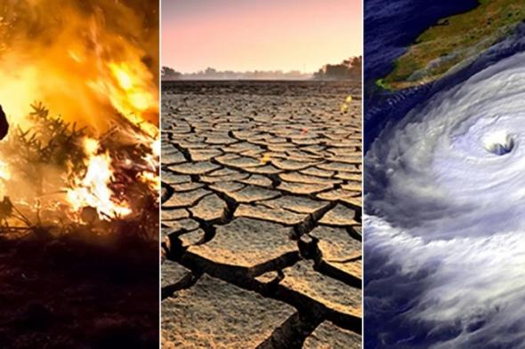 أخبار من السعودية.. مركز التغير المناخي يعزز التنبؤ بحرائق الغابات والجفاف في المملكة