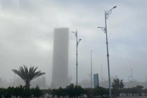 أخبار من السعودية.. طقس الجمعة.. ارتفاع في درجات الحرارة وأمطار ورياح مثيرة للأتربة