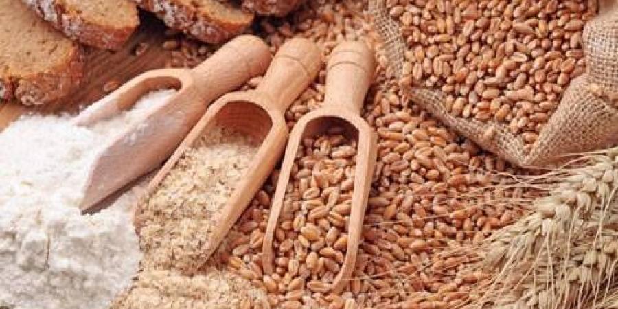 تراجع القمح مع توقعات بهطول أمطار تقلص مخاوف الحرب وتأثيرها على الإمدادات
